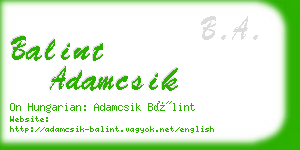 balint adamcsik business card